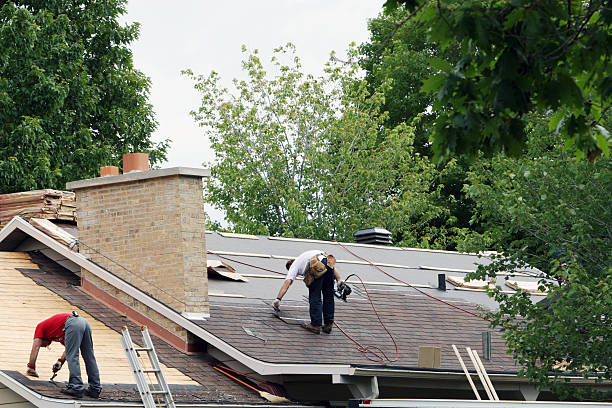 Best Roof Leak Repair  in Mount Vernon, VA